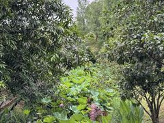 -东岳体育公园