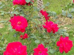 -韶关经律论国际酒店温泉