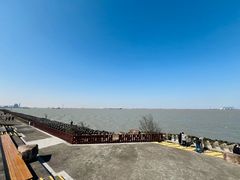 -上海滨江森林公园