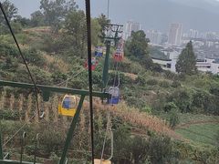 -缙云山景区