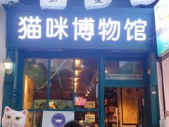 -猫咪博物馆(顶澳仔猫街店)