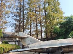 -枫泾古镇-人民公社旧址