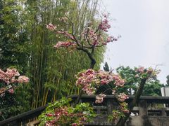 -昆明动物园