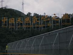 -牛背梁国家森林公园