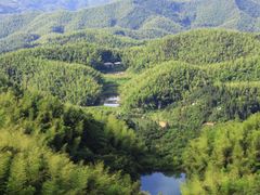 -长沙黑麋峰国家森林公园