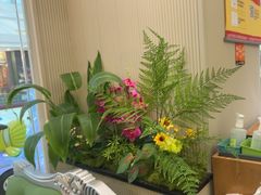 -东方豪客牛排意面披萨(金凤万达店)