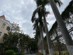 -鼓浪屿·皓月园