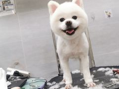 -宠福鑫康馨动物医院·骨科·眼科