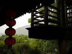 -大唐贡茶院
