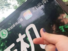 -西双版纳原始森林公园