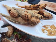 -金谷园饺子·烧烤(人大总店)