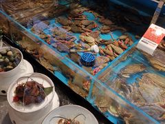 -必点海鲜·鲅鱼水饺(鞍山西道店)