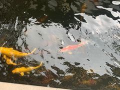 -湖鲜楼