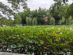 -包公祠