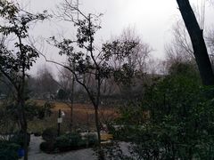-莲湖公园