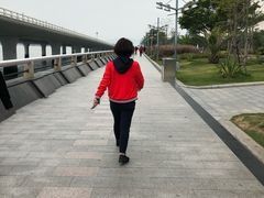 -演武大桥观景平台