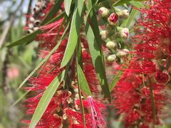 -沙河三洞古桥公园