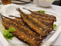 -开海·红岛海鲜虾水饺(石老人店)
