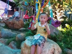 -三亚海昌梦幻海洋不夜城