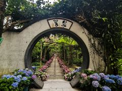 -广西壮族自治区药用植物园