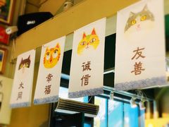 -猫咪博物馆(顶澳仔猫街店)