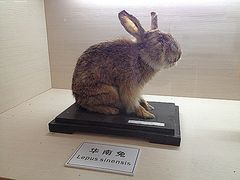 -下渚湖国家湿地公园科普馆