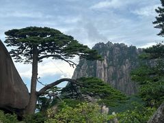 -黄山风景区