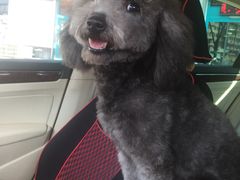 -北京松山友福汽车贴膜·隐形车衣 洗美(良乡店)