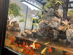 -舟小鲜·舟山小渔村(凤城四路中登广场店)