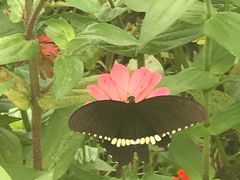 -帐篷客·溪龙茶谷度假酒店