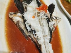 石斑鱼-金春禧(世茂国际广场店)