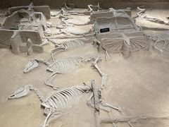 -洛阳周王城天子驾六博物馆