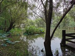 -长兴太湖图影湿地文化园