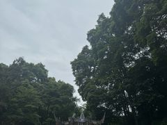 -青城山