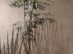 -二酉书店TOYOU BOOKS