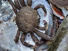 -双月湾小星山潜水·浮潜俱乐部