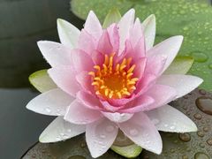 -杭州植物园