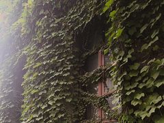 -半岛1919创意园区