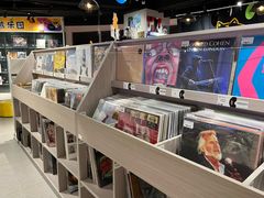 -浣熊唱片店(上海影城店)