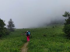 -白草畔自然风景区