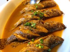 -丹江渔村(望京店)