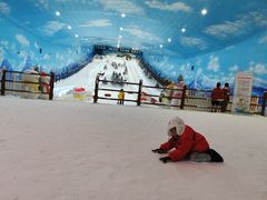 -世界之窗阿尔卑斯冰雪世界