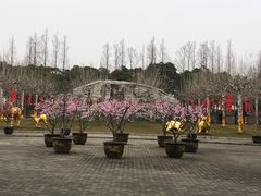 -上海海湾国家森林公园