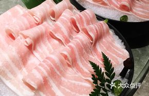 Hungarian Rolled Pork