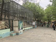-北京鹿世界主题园