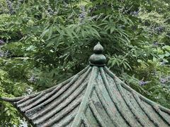 -秋霞圃