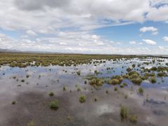 -花湖生态旅游区
