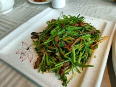 香芹炒牛肉丝-石头咕(葵蓬店)