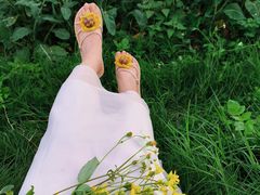 -光明小镇欢乐田园