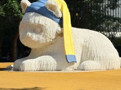 -深圳湾万象城(南山店)